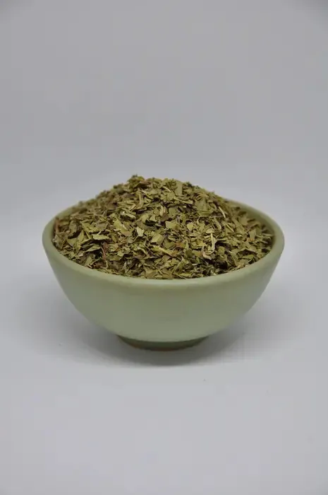 Verbena